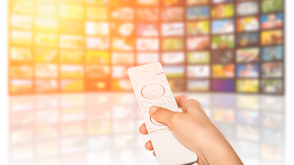 Video Encoder Market Analysis: Key Players and Segments