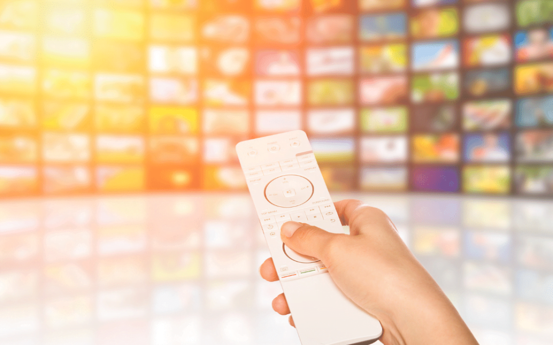 Video Encoder Market Analysis: Key Players and Segments